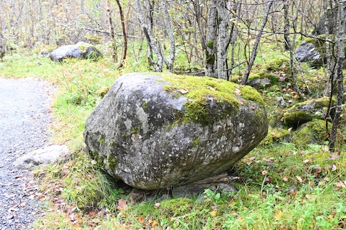 Large weathered boulder beside a woodland path
