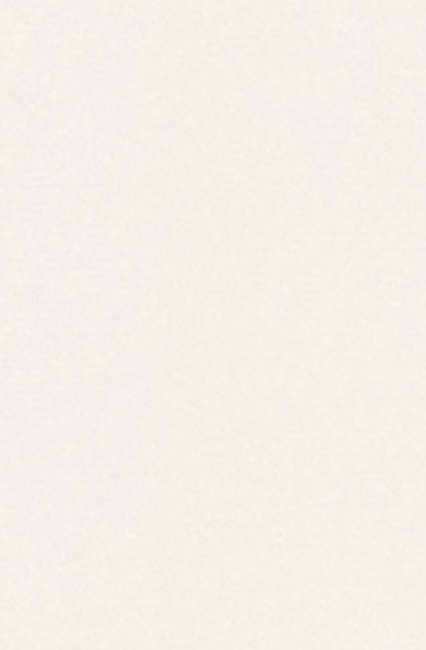 Warlon Plate Artisan Washi paper series - Shoji V-61 Tansai Kinara