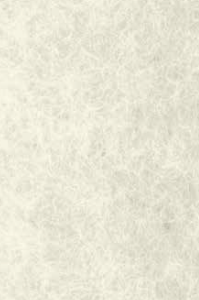 Warlon Artisan Washi paper K-110 0.3mm Kyoto Fine Weave