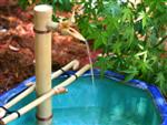 Custom Made Japanese Style Bamboo Water Spout