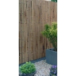 BigZen Bamboo Fence up to 2m high, various sizes