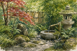 Practical Tips for a Japanese Style Shade Garden