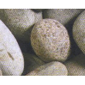Large Caledonian Cobbles 80-120 mm - Polybag