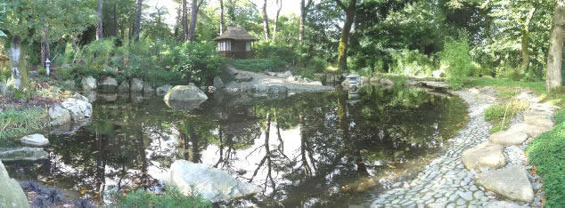 image courtesy of Pine Lodge Gardens